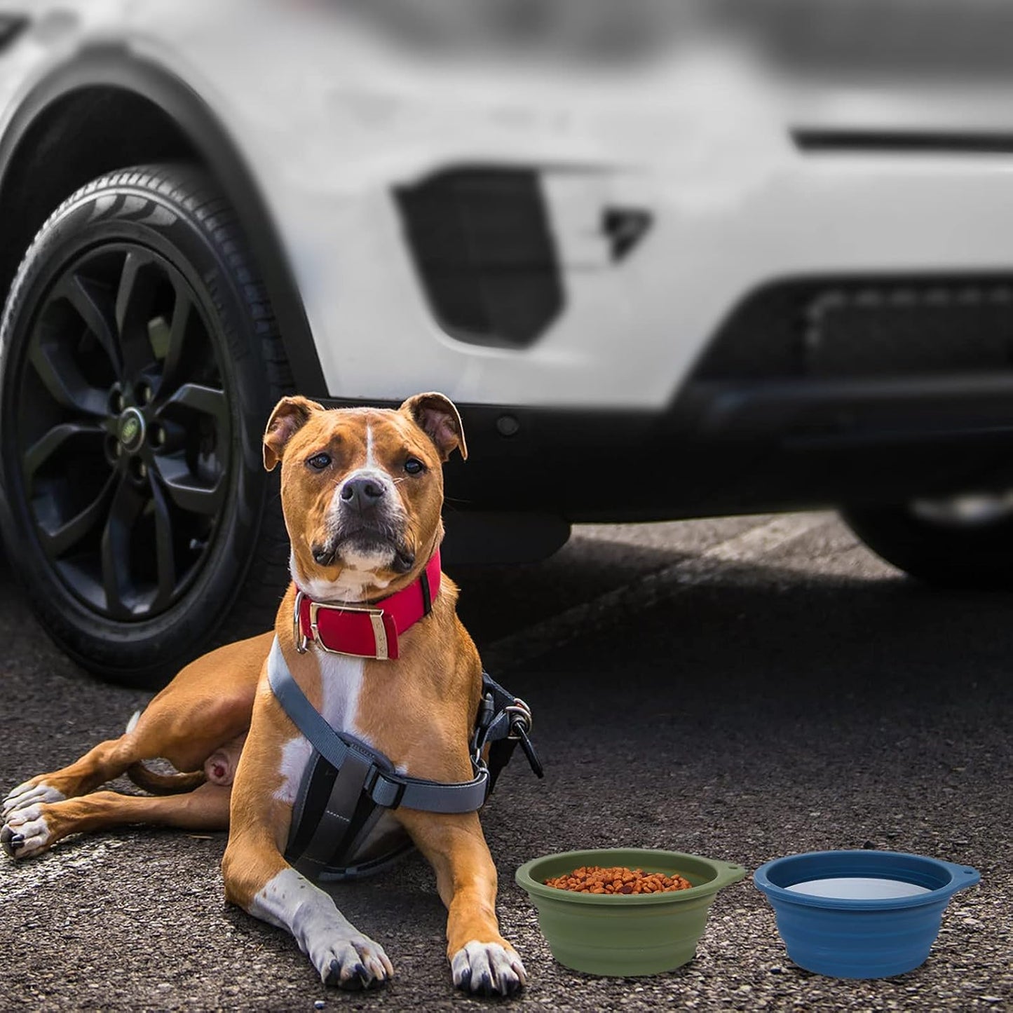 Collapsible Dog Bowl Set - 2 Pack Travel-Friendly Pet Feeding Bowls (No Plastic Rim) - 600ml Navy Blue & Dark Green for Outdoor Adventures