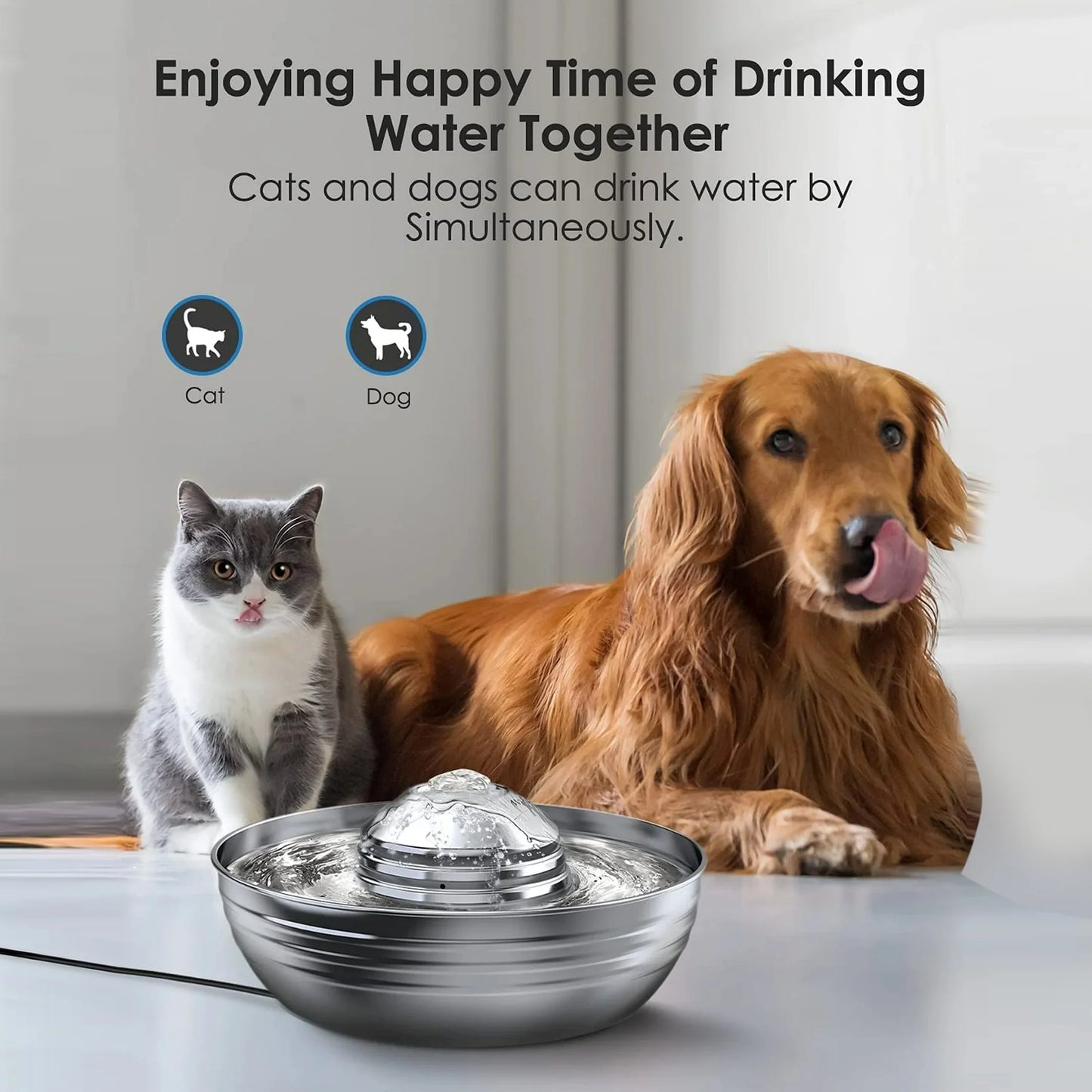 Premium 2L Stainless Steel Cat Water Fountain - Quiet Pump & 3 Filters for Fresh, Clean Water - Ideal Indoor Pet Hydration Solution