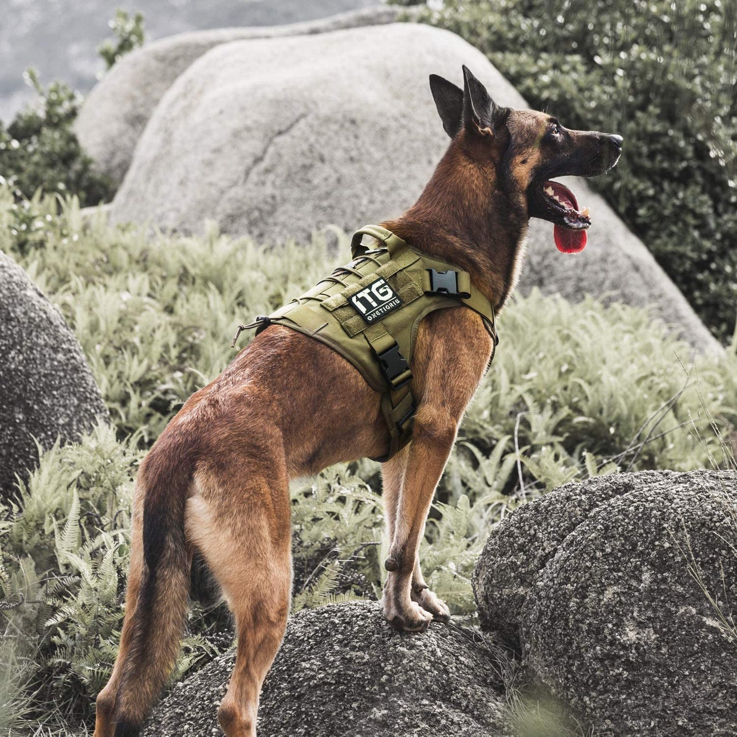 Tactical No-Pull Dog Harness - Adjustable Breathable Pet Vest with Handle for Outdoor Adventures (Ranger Green, Small)