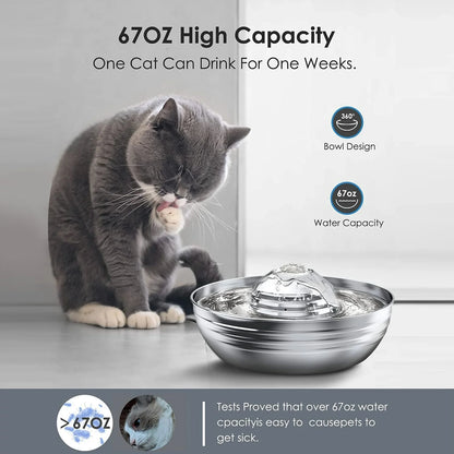 Premium 2L Stainless Steel Cat Water Fountain - Quiet Pump & 3 Filters for Fresh, Clean Water - Ideal Indoor Pet Hydration Solution