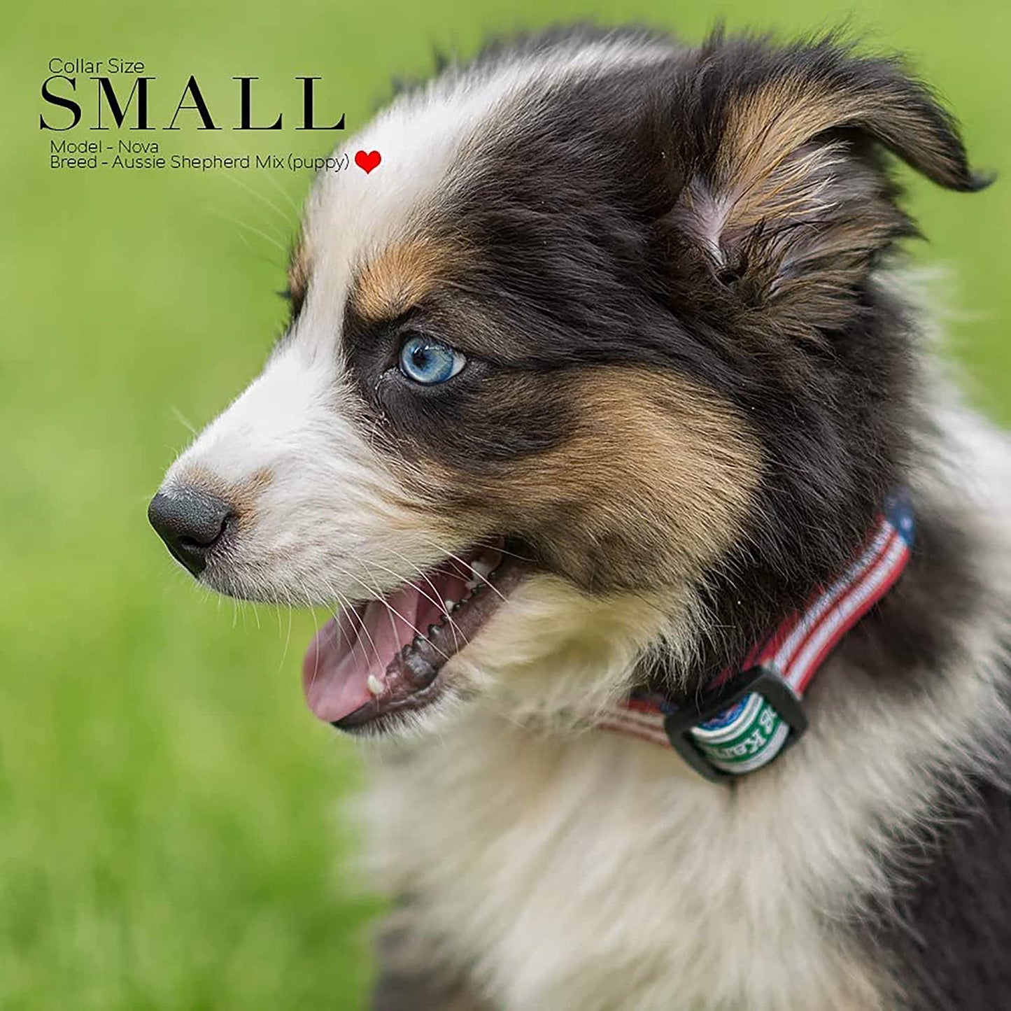 Patriotic American Flag Dog Collar - Classic Style in 5 Sizes (Small Available)