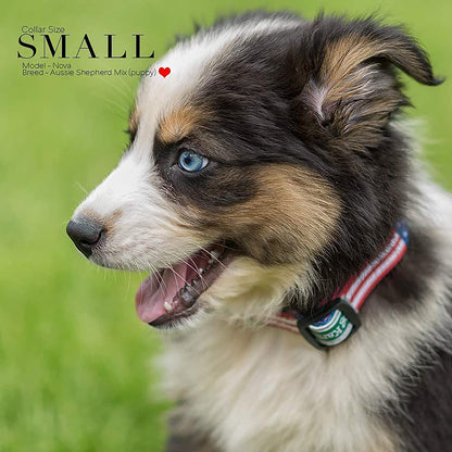 Patriotic American Flag Dog Collar - Classic Style in 5 Sizes (Small Available)